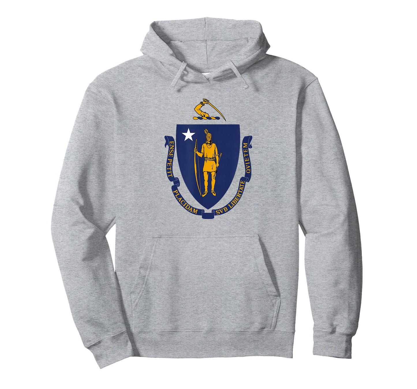 Flag of Massachusetts T-Shirt