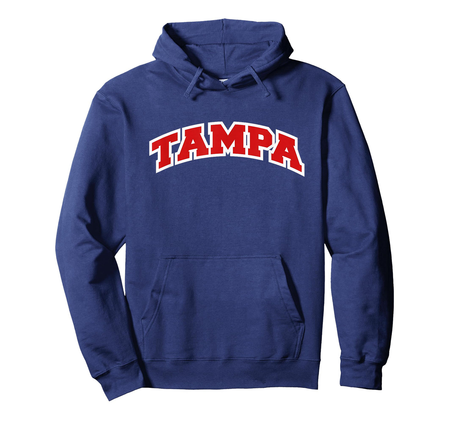 Tampa Florida Varsity Style Vintage T-Shirt