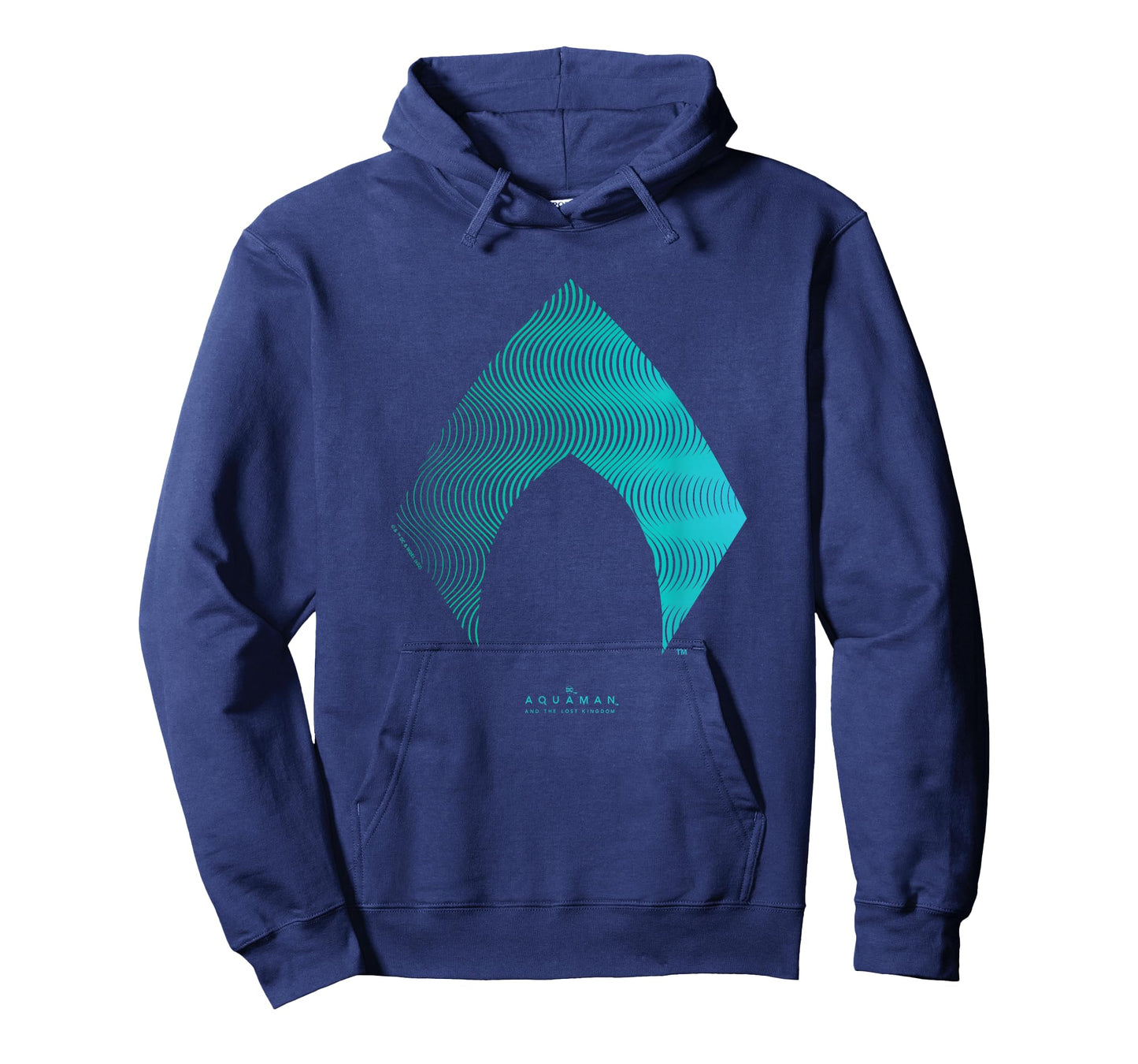 Aquaman And The Lost Kingdom Distressed Wavy Neon Emblem T-Shirt