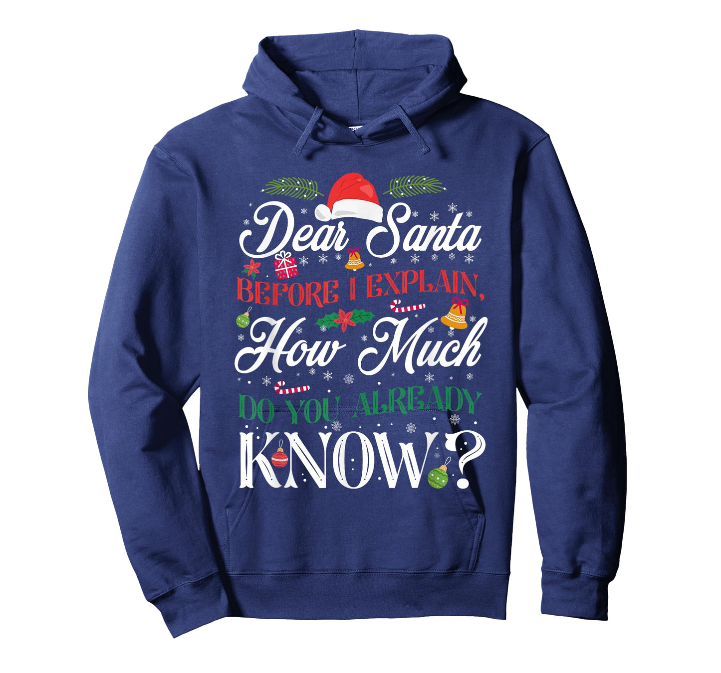 Funny Christmas Dear Santa How Much Do You Know T-Shirt