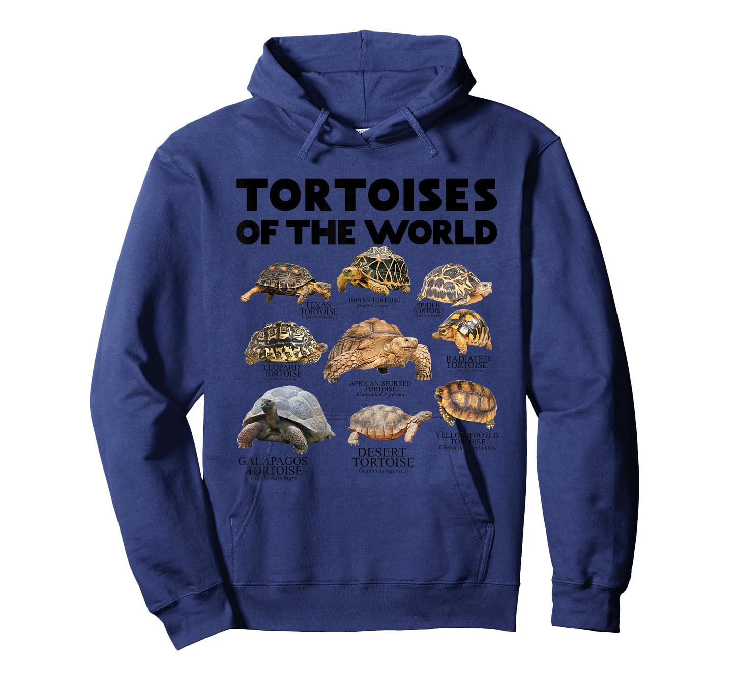 Tortoises of The World Turtles Lover Save The Tortoises T-Shirt