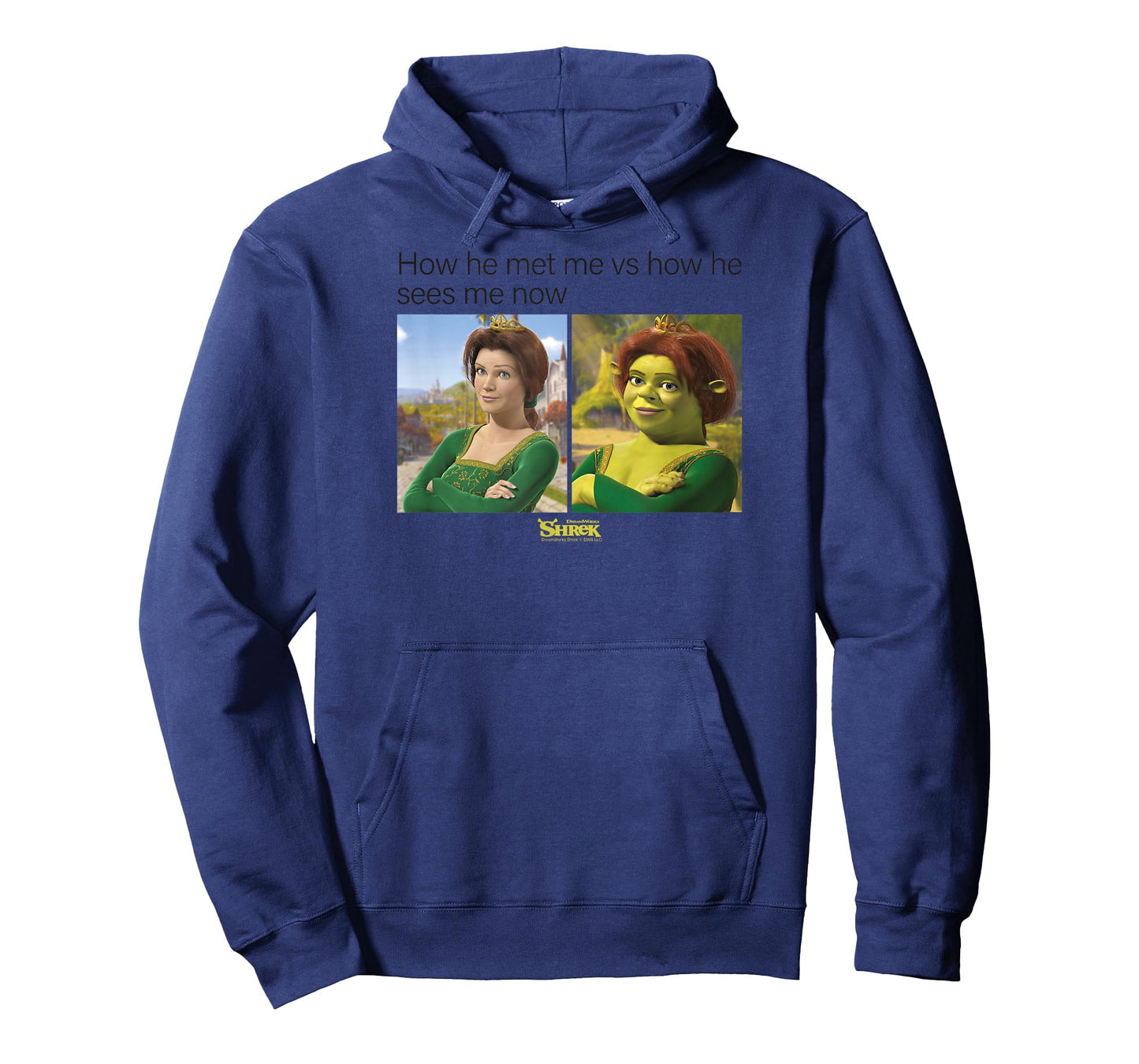 Shrek Princess Fiona Meme T-Shirt