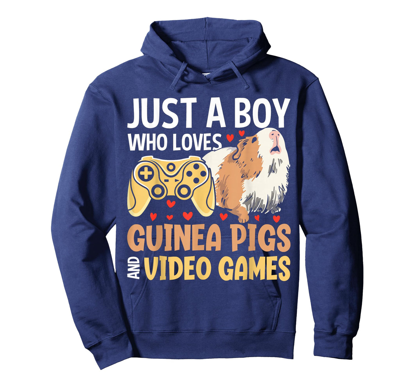 Just A Boy Who Loves Guinea Pigs And Video Games T-Shirt