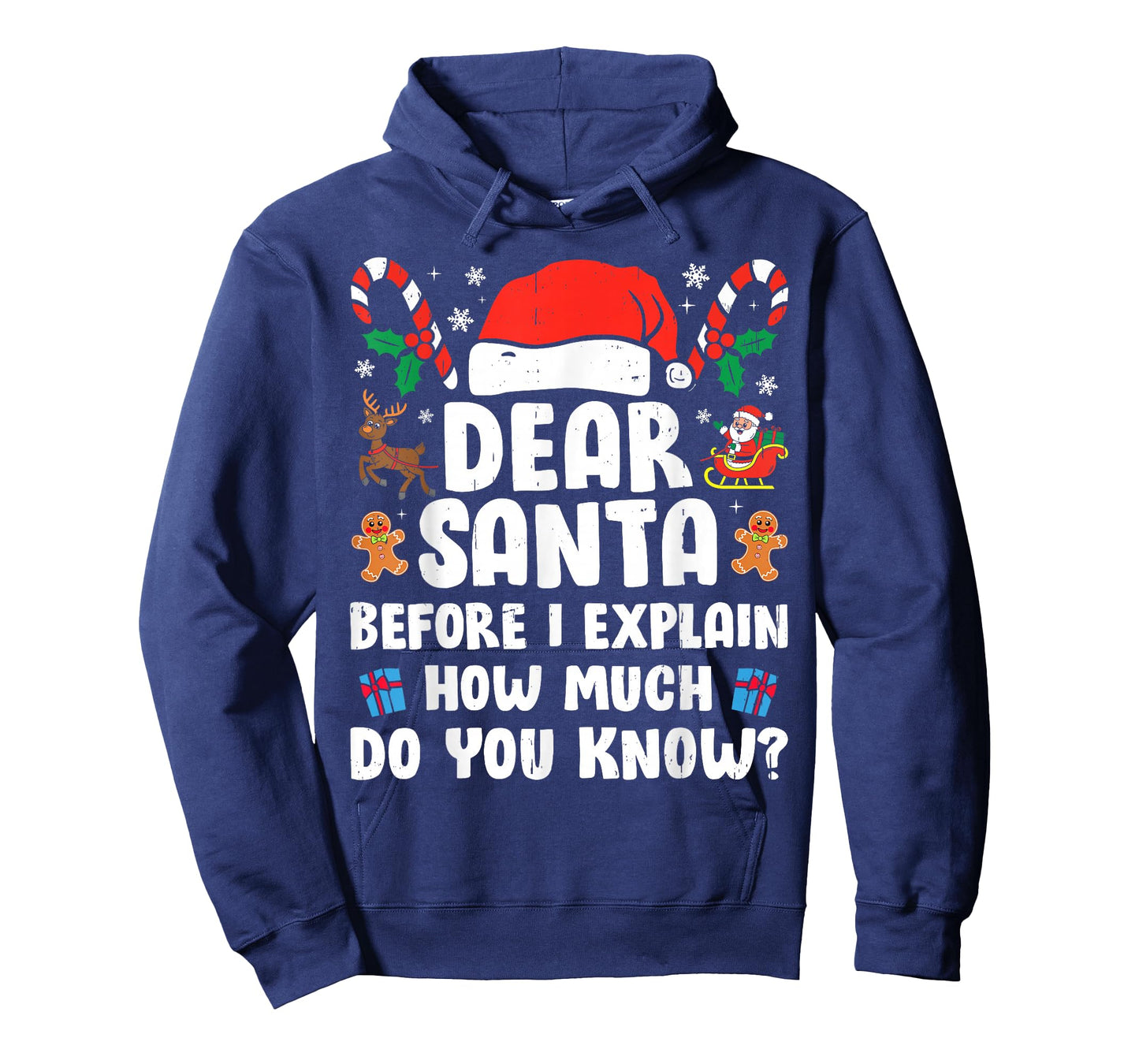 Dear Santa I Can Explain Funny Christmas Xmas Men Women Kids T-Shirt