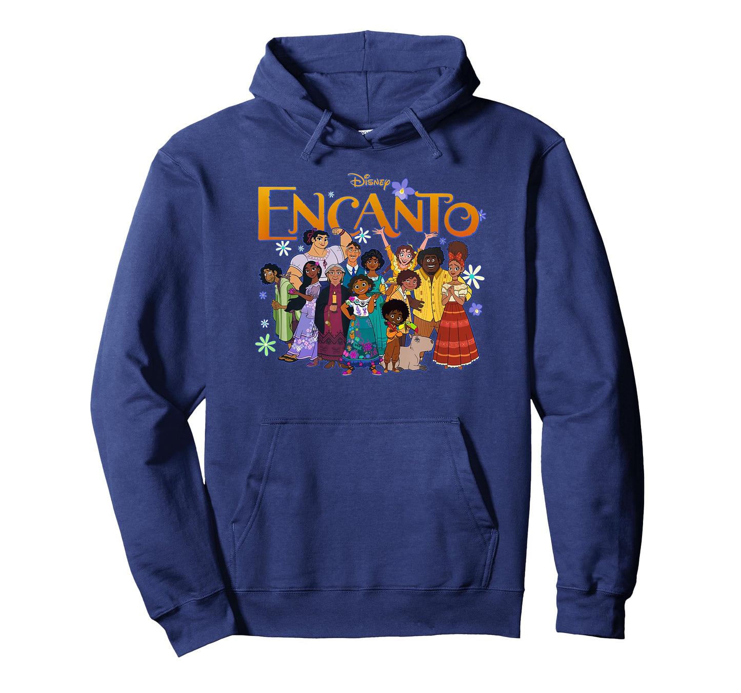 Disney Encanto Family Group Portrait Logo T-Shirt Small
