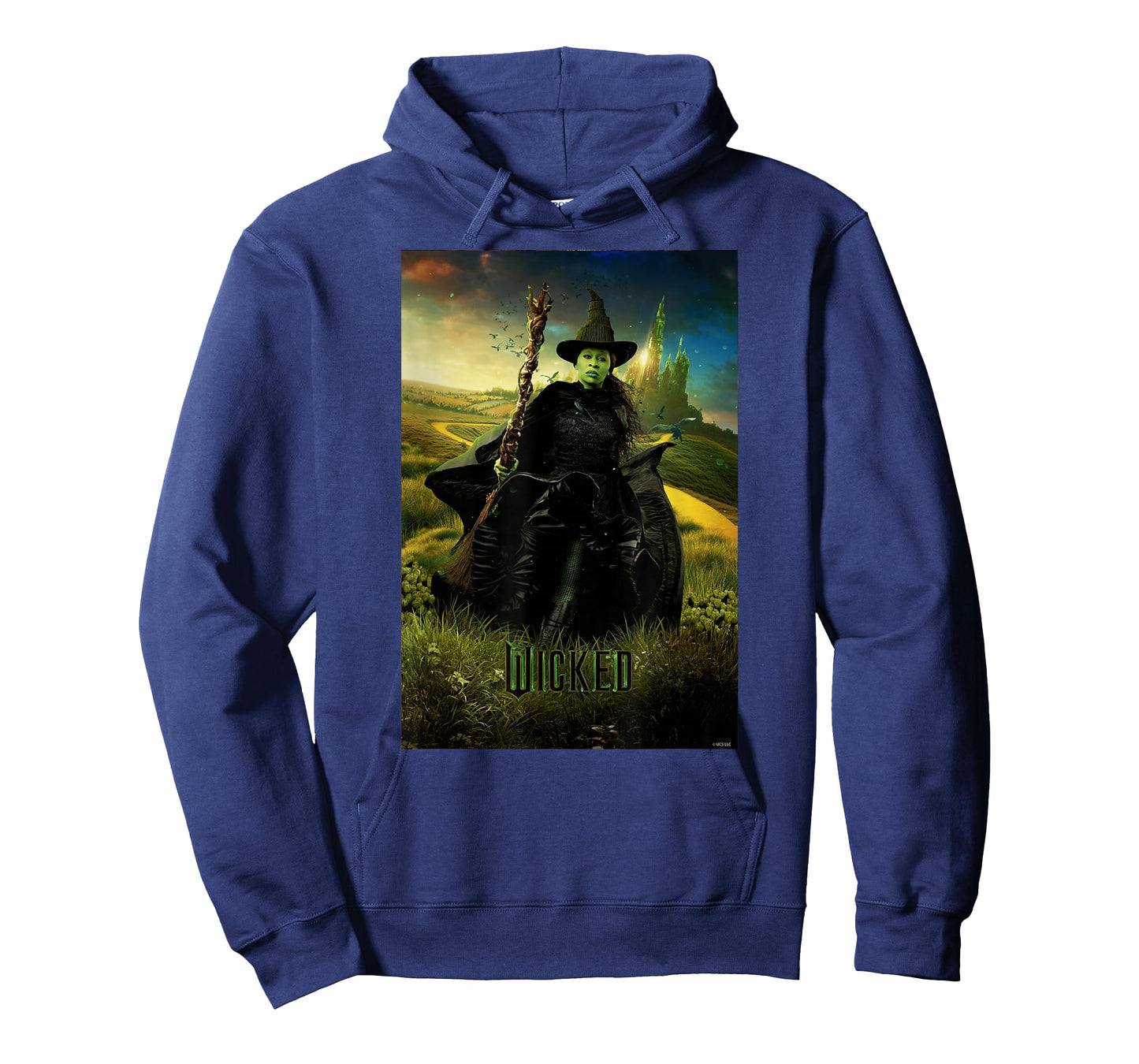 Wicked Unisex-Adults & Kids T-Shirt, Black, Small, Short Sleeve, Classic Fit, Iconic Hero Design, Licensed Movie Theme