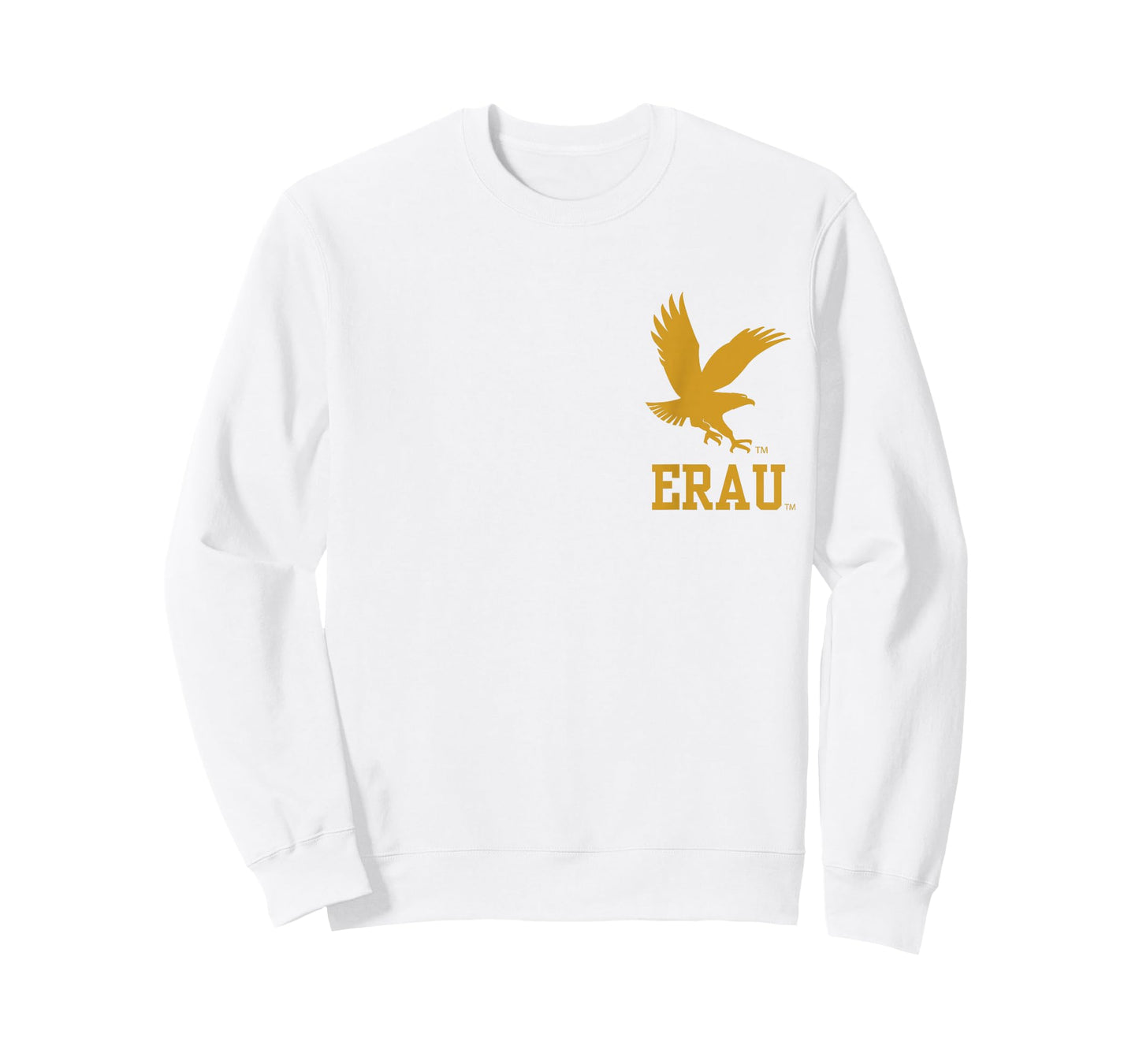 Embry Riddle Eagles | Official NCAA University | OCEMBJ01 T-Shirt