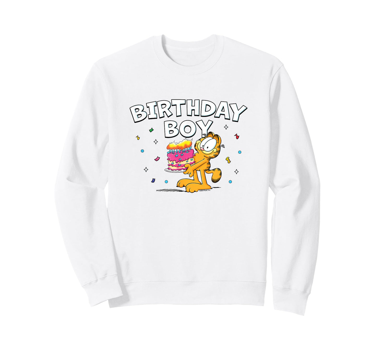 Garfield Birthday Boy Cake & Confetti Celebration Logo T-Shirt
