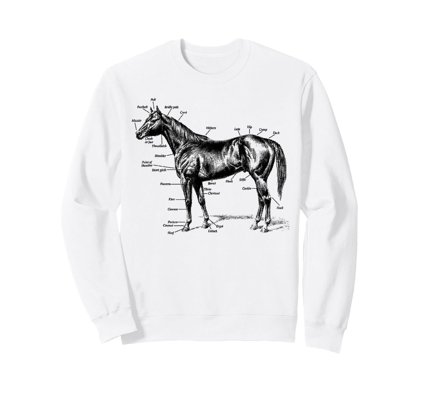 Big Texas Anatomy of a Horse T-Shirt T-Shirt