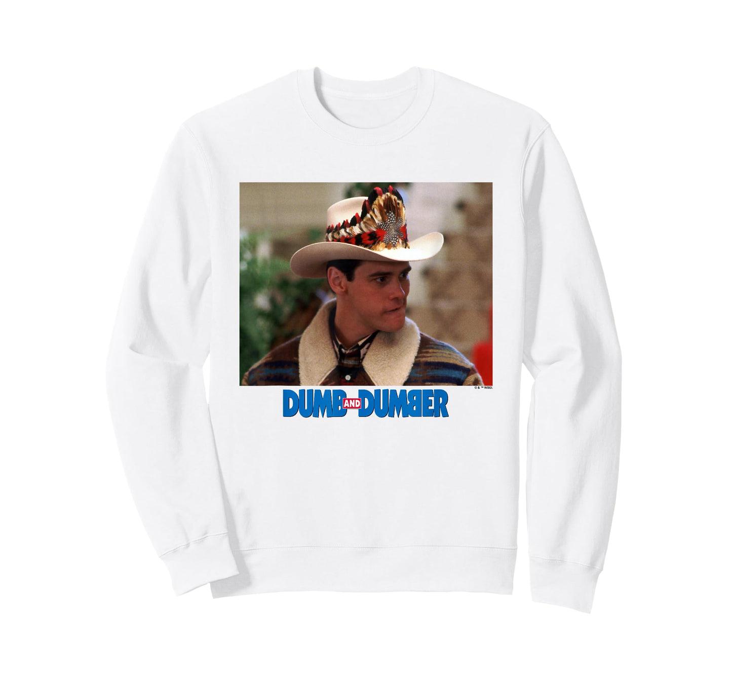 Dumb and Dumber Lloyd Christmas Dressed As Cowboy Scene T-Shirt