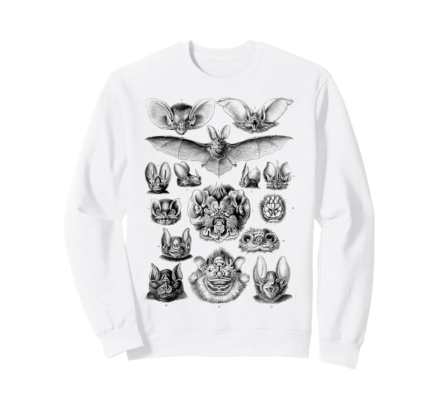 Ernst Haeckel Bats Scientific Illustration Biology bat lover T-Shirt