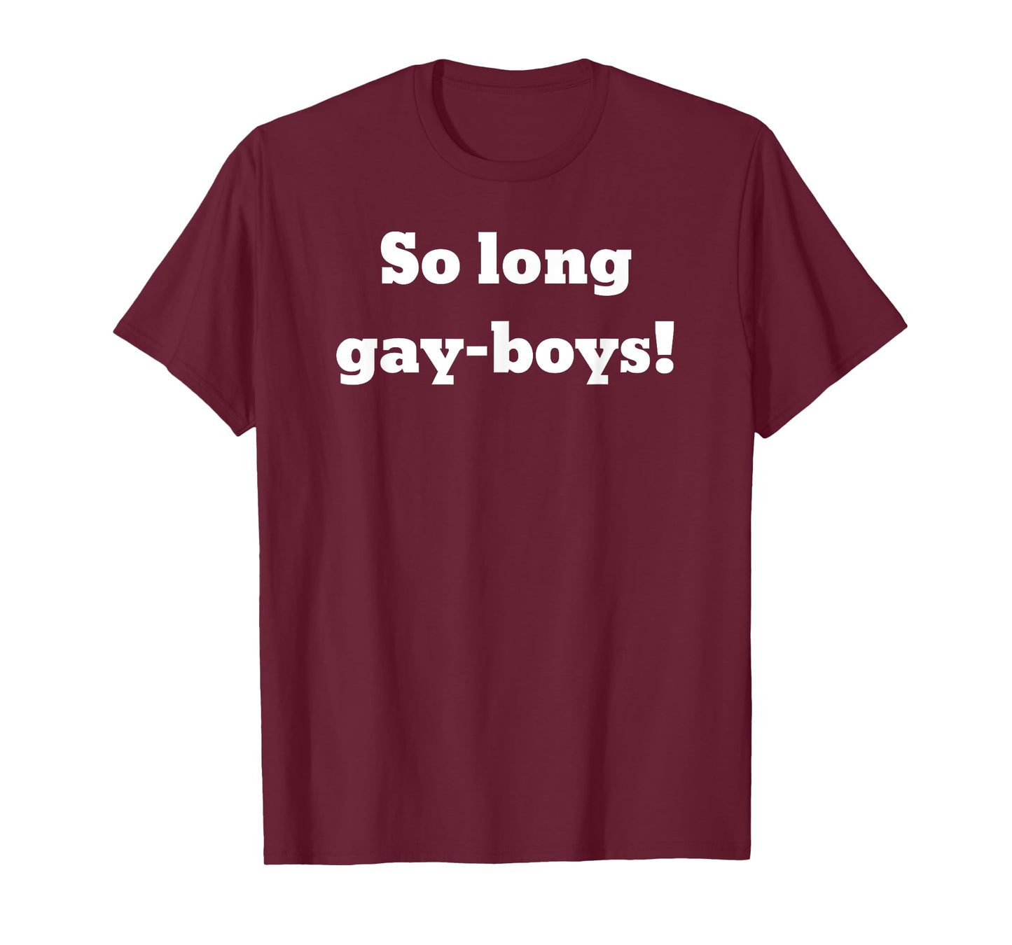 So long gay-boys! T-Shirt