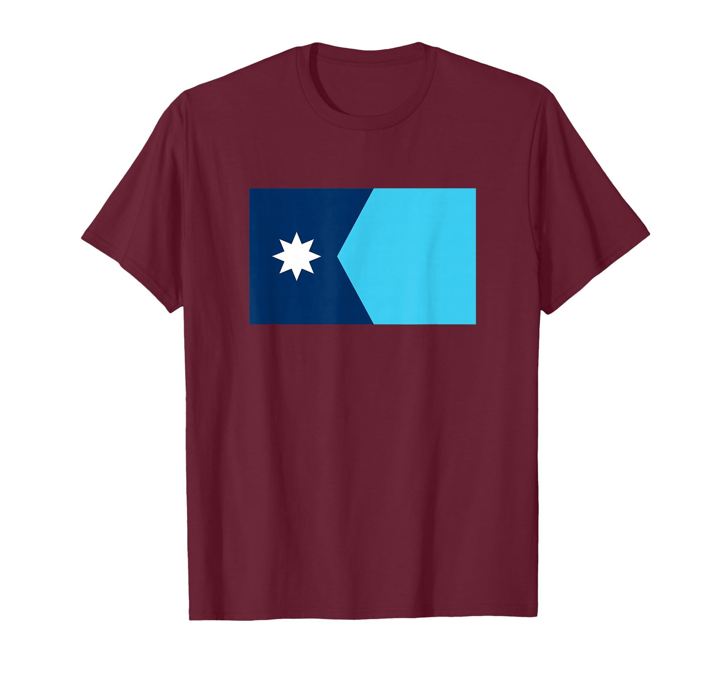 Flag of Minnesota Shirt 2024 New Minnesota State Flag T-Shirt