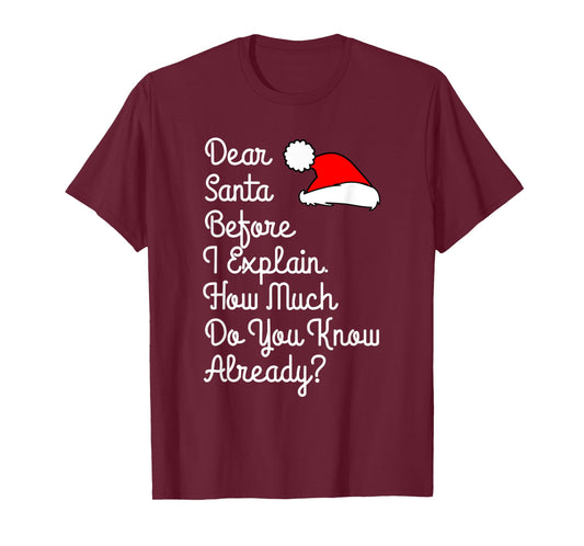 Dear Santa Before I Explain How Much Do You Know Already T-Shirt