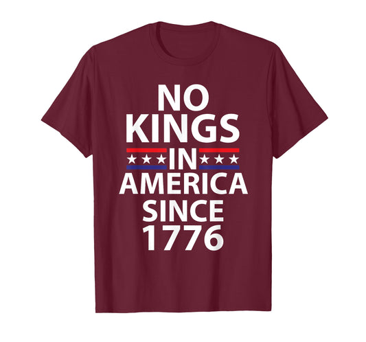 No Kings In America Since 1776 Independence Vibe T-Shirt