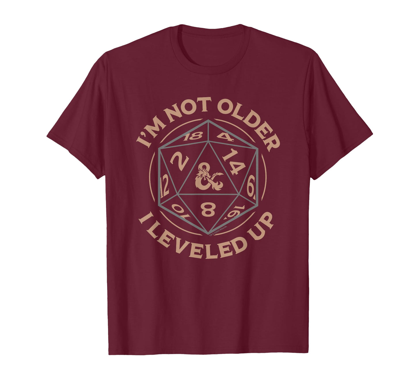 Dungeons & Dragons Birthday Level Up T-Shirt