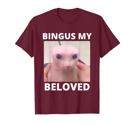 Bald Bingus My Beloved Hairless Sphinx Cat Bingus Cat Meme T-Shirt