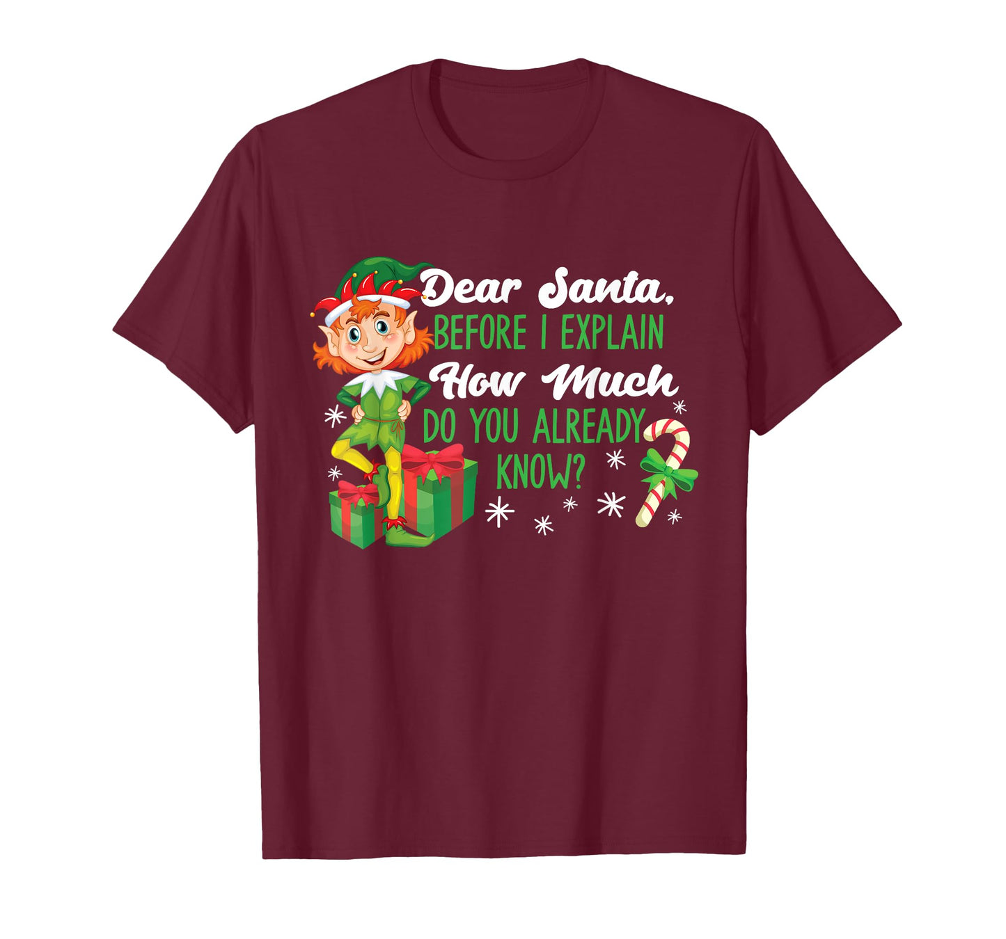Funny Christmas Dear Santa How Much Do You Know T-Shirt