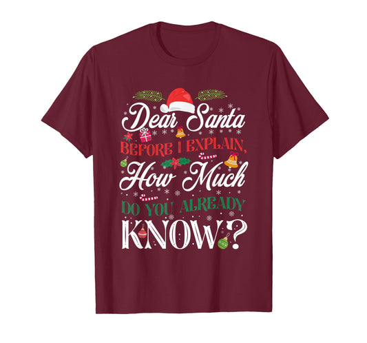 Funny Christmas Dear Santa How Much Do You Know T-Shirt
