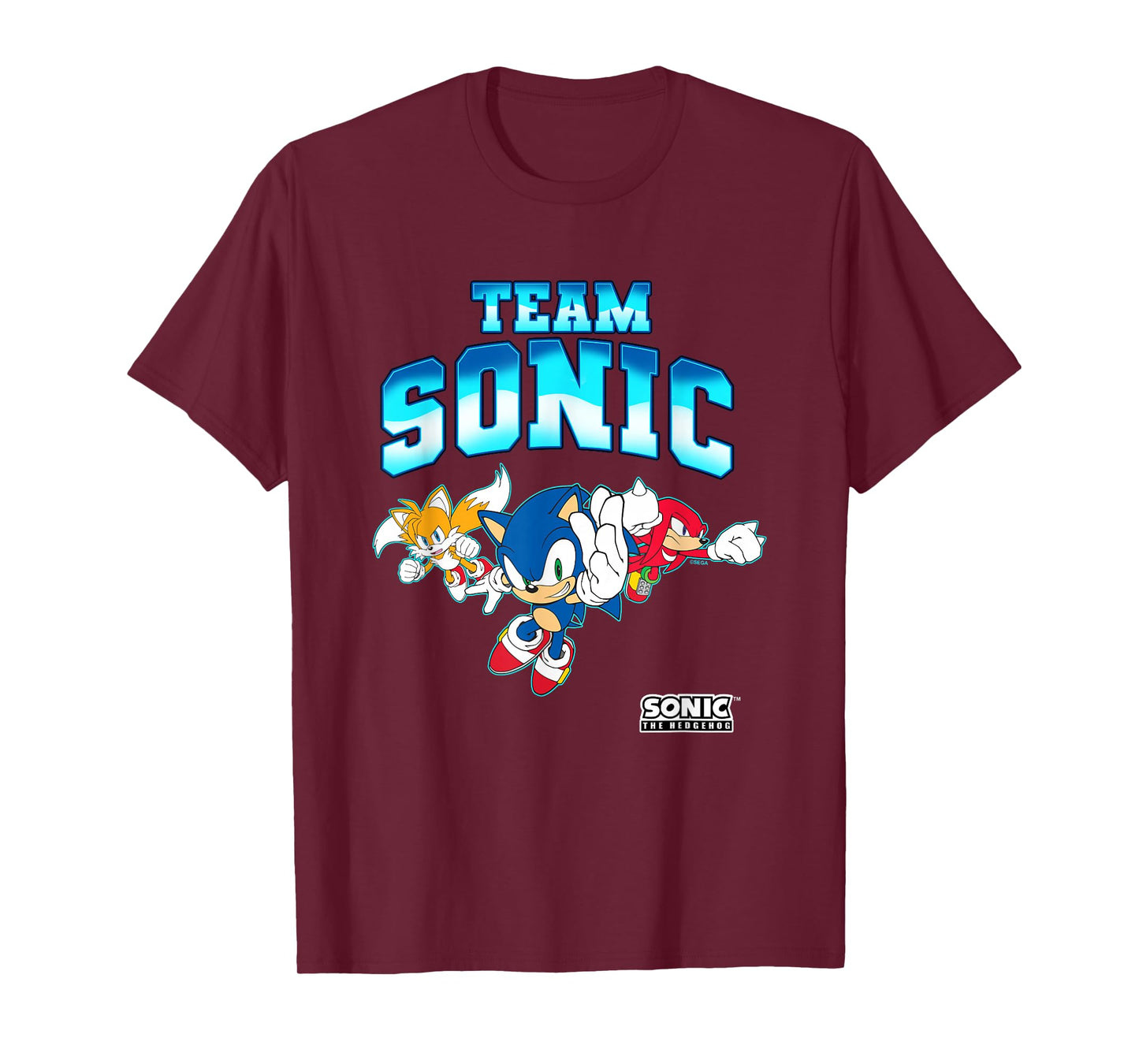 Sonic The Hedgehog Team Sonic Epic Group Shot T-Shirt