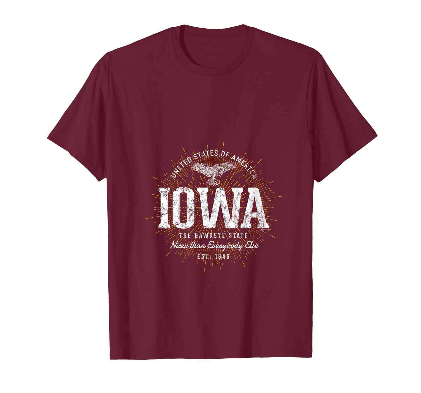 Womens Vintage State of Iowa Retro V-Neck T-Shirt