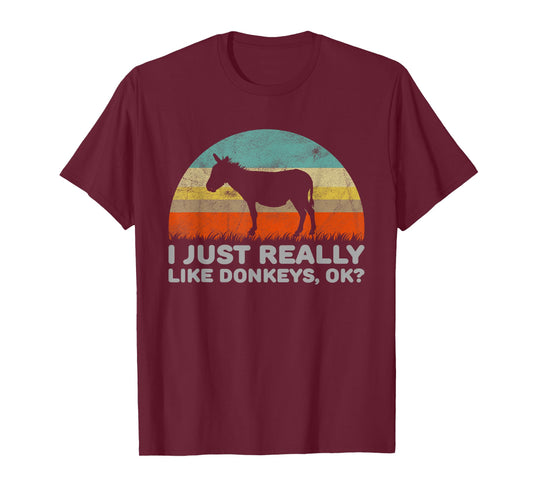 Funny I Just Really Like Donkeys OK T-Shirt T-Shirt