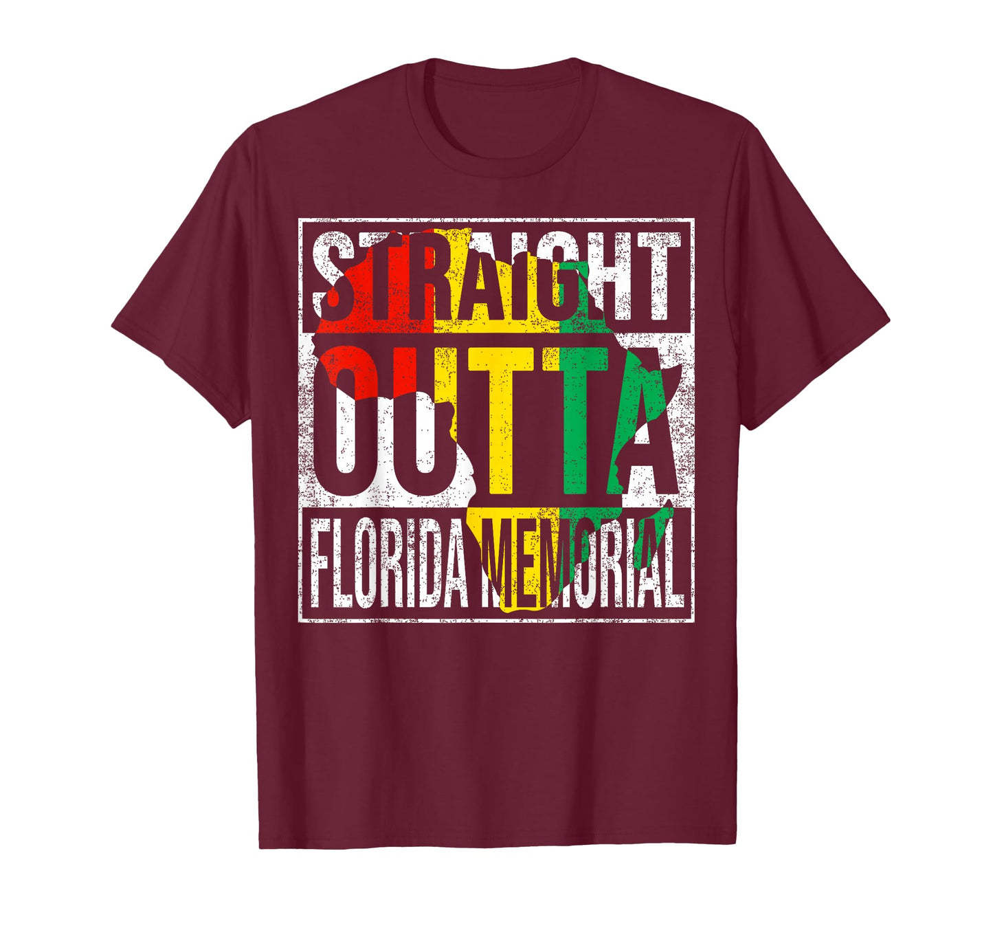 Florida Vintage Retro Memorial 142 years T-Shirt