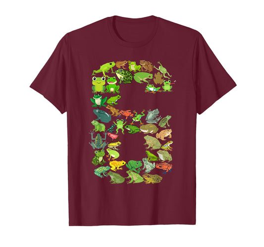 Cute 6th Birthday Frog Themed 6 Year Old Kids Frog Lover T-Shirt