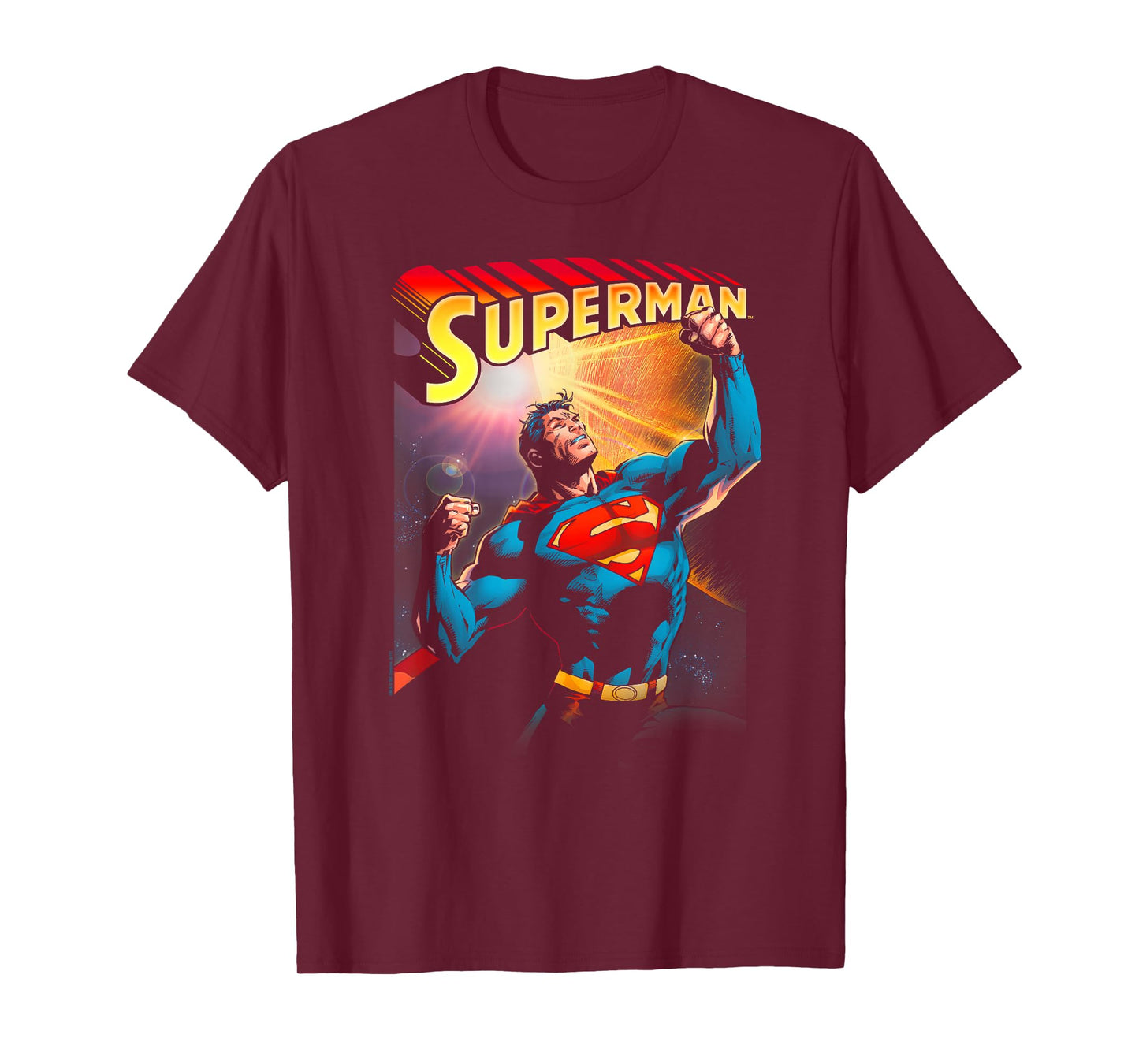 DC Comics Superman Victory Unisex-Adult T-Shirt, Black, Small, Short Sleeve