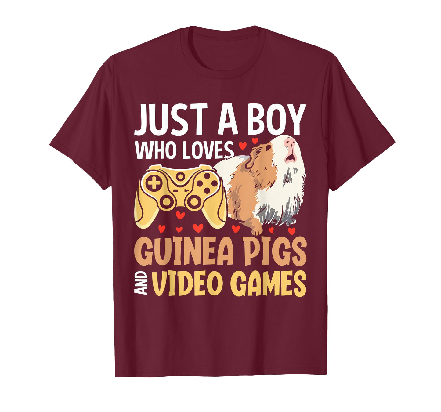 Just A Boy Who Loves Guinea Pigs And Video Games T-Shirt