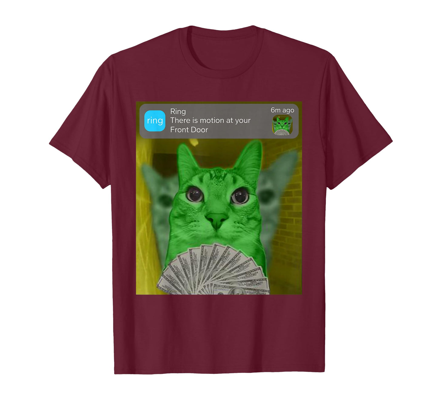 Ring There is Motion at Your Front Door Alien Cat Meme T-Shirt