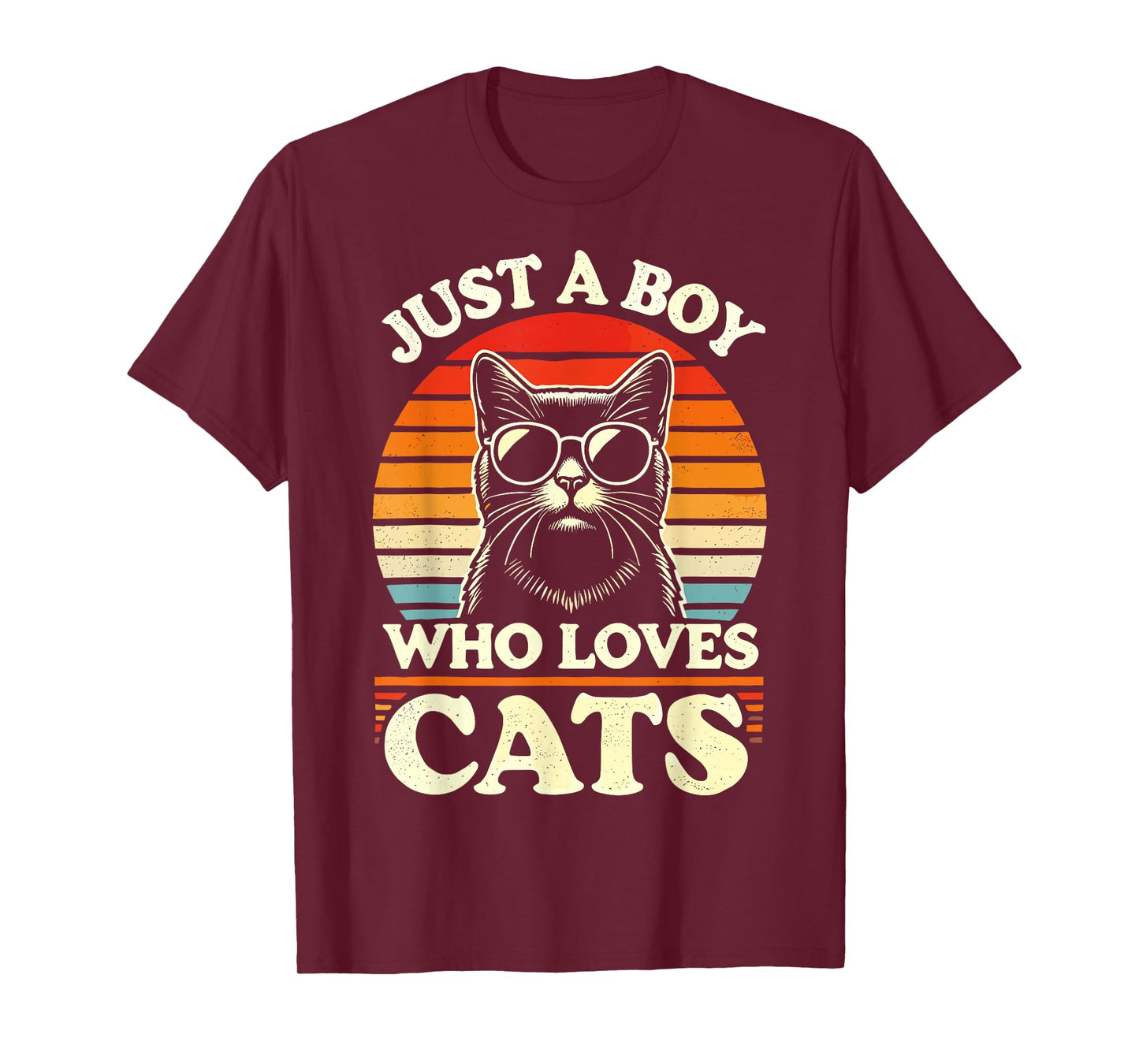 Cat Lover Just A Boy Who Loves Cats T-Shirt