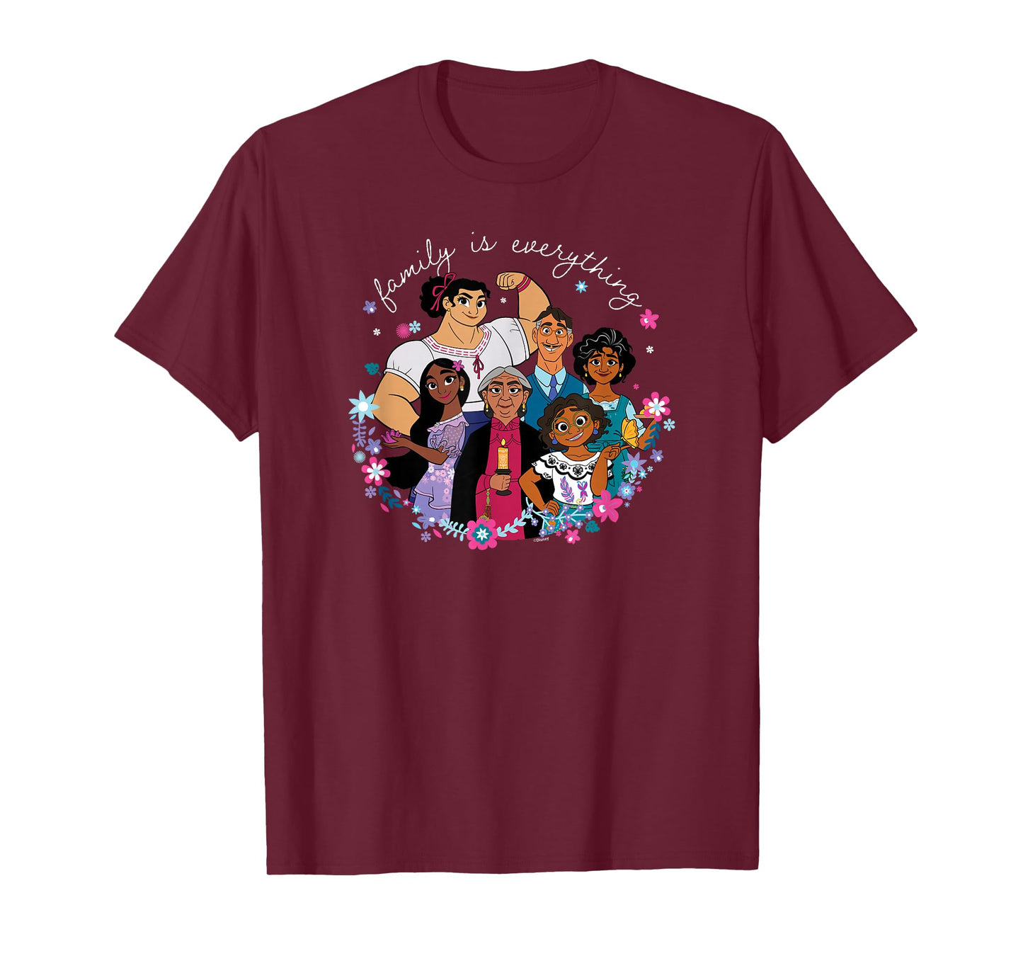 Encanto - Family is Everything T-Shirt