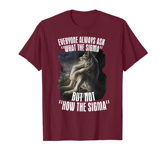 Everyone Asks What Sigma But Not How's Sigma Meme Humorous T-Shirt