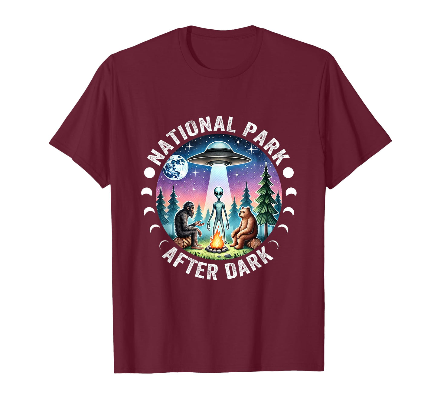 Vintage Retro Funny National Park After the Dark Big foot Alien Campfire T-Shirt, Small, Black