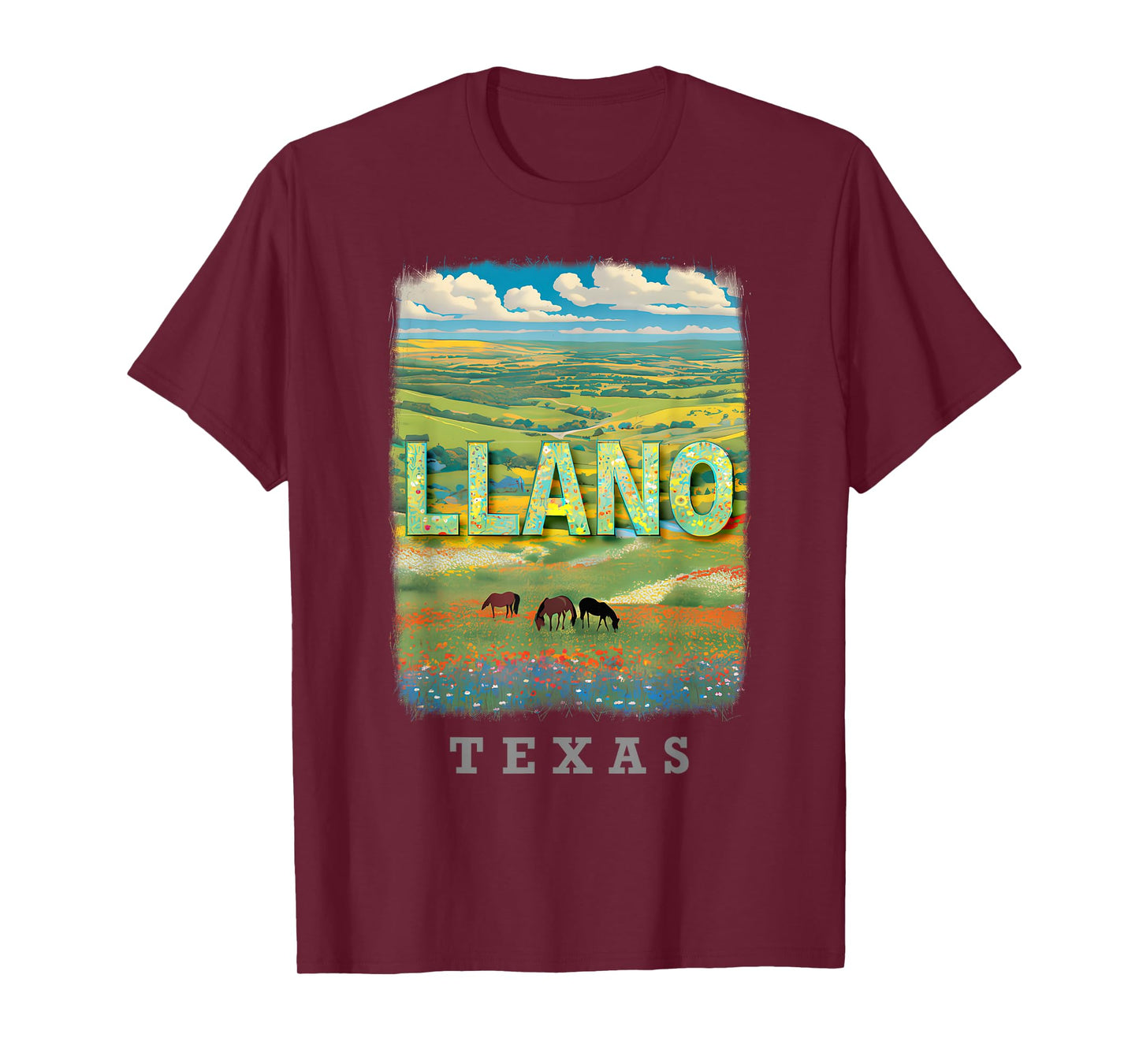 Llano Texas TX Hill Country Charm SD869 T-Shirt