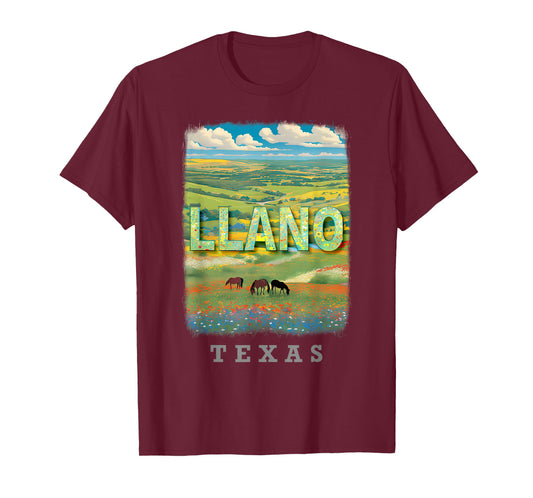 Llano Texas TX Hill Country Charm SD869 T-Shirt