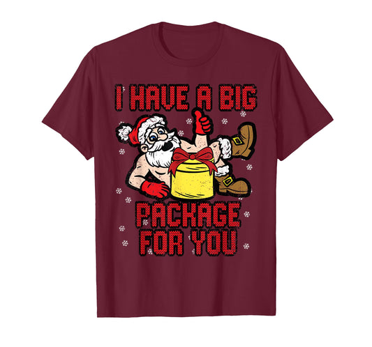 I Have A Big Package Christmas Funny X-Mas Santa Men T-Shirt