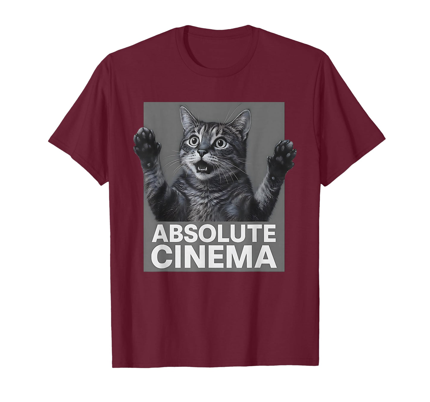 Absolute Cinema Meme Cat Funny T-Shirt