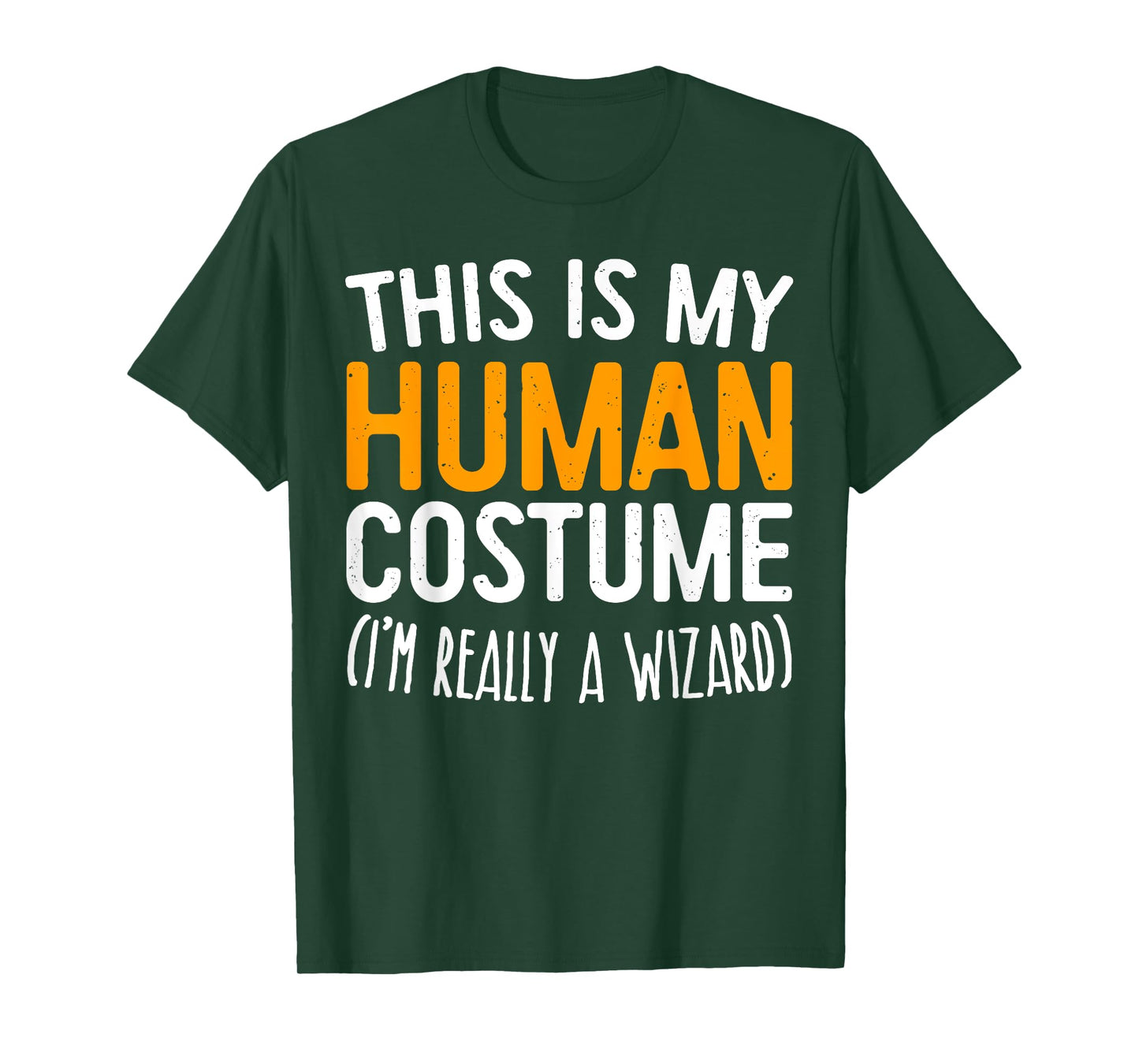 This Is My Human Costume I'm Really A Wizard T-Shirt T-Shirt