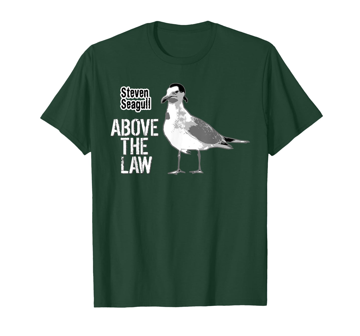 Steven Seagull