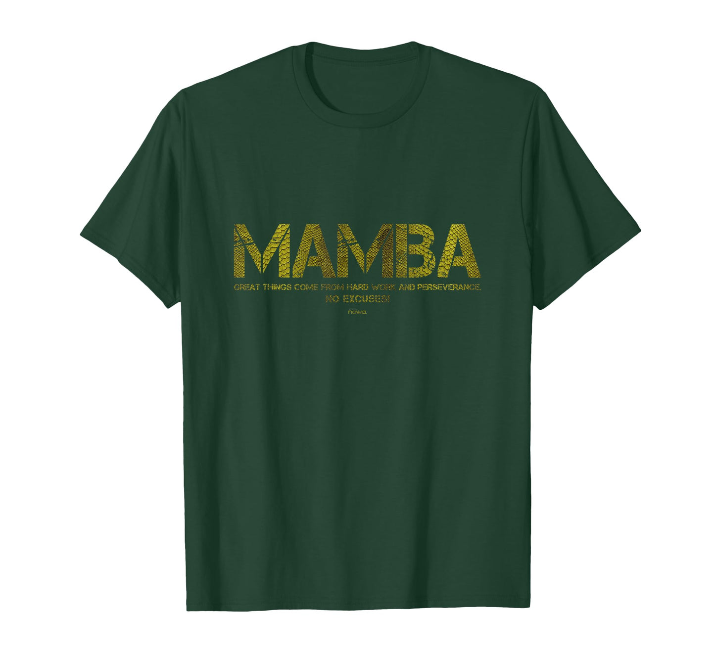 GREAT THINGS COME FROM HARD WORK AND PERSEVERANCE... T-Shirt