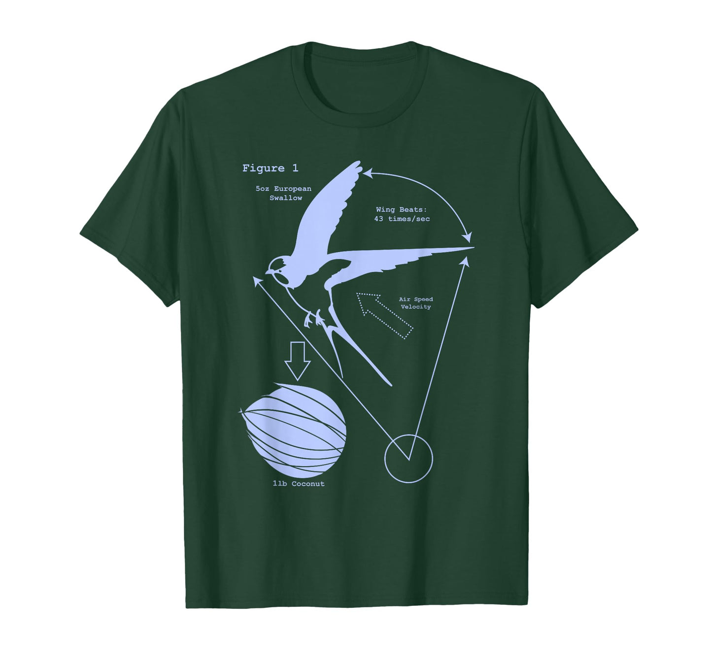 Airspeed Velocity with a Coconut and a European Swallow T-Shirt