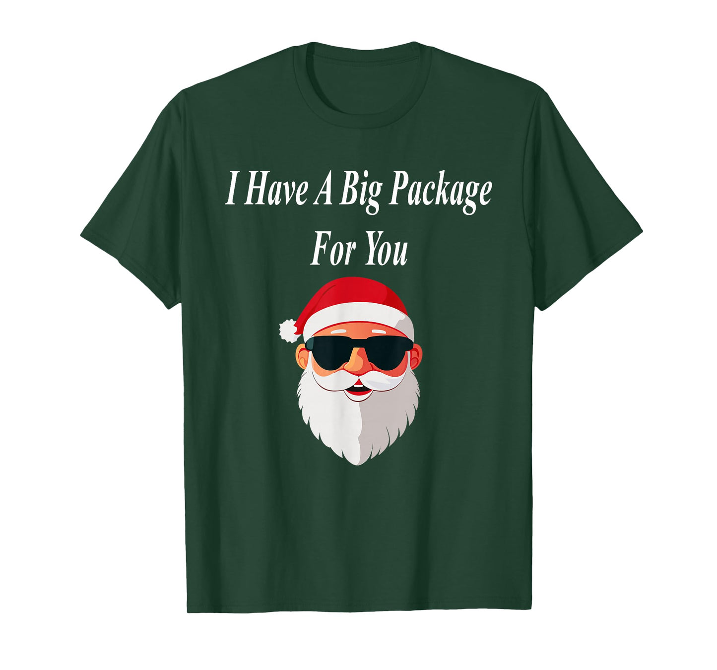 Big Package Christmas Funny Naughty Dirty Raunchy Gift Adult T-Shirt