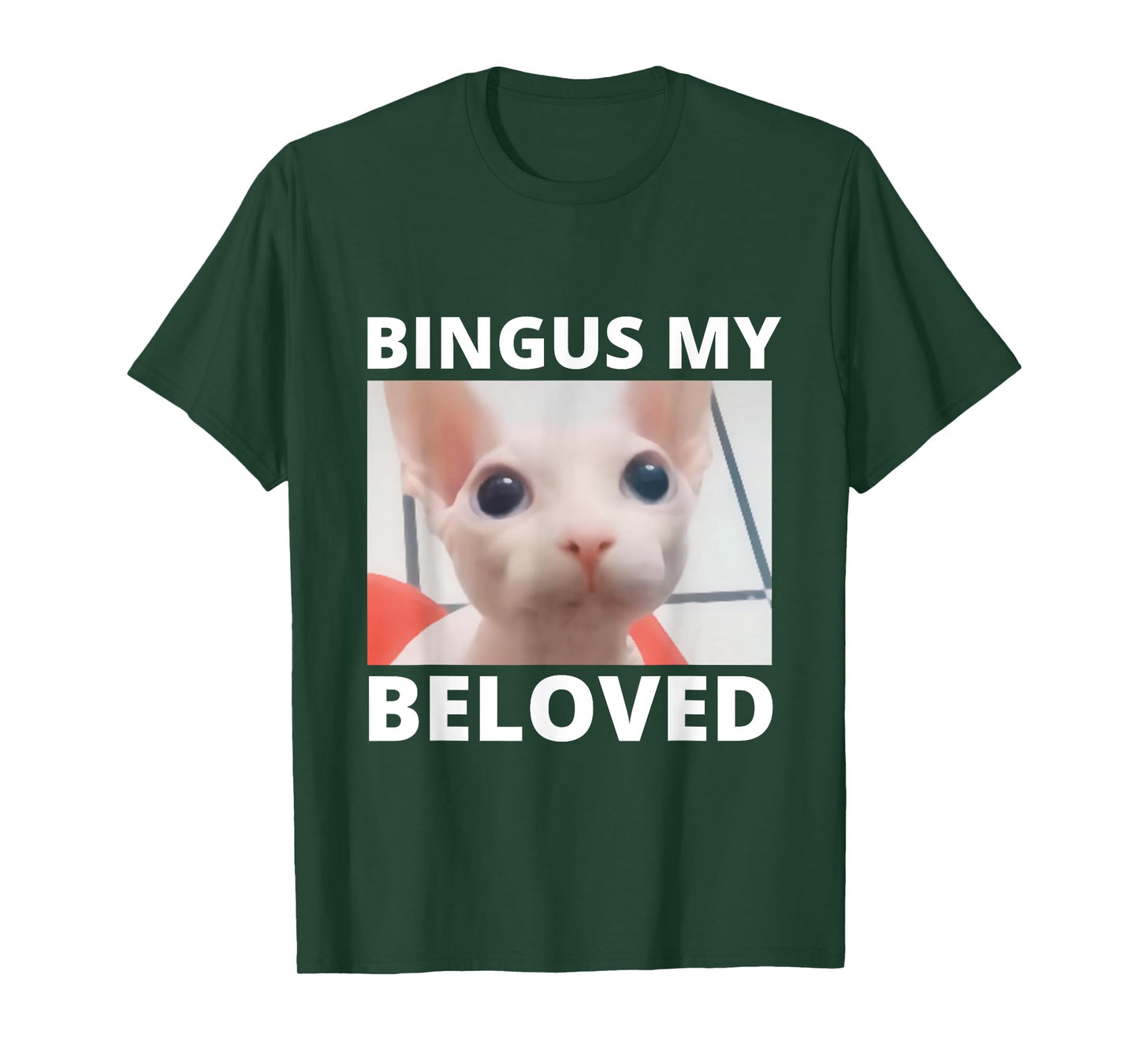 Funny Bingus My Beloved Hairless Sphinx Cat Bingus Cat Meme Men Women Girls Kids T-Shirt