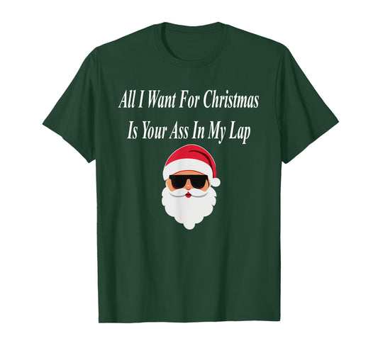 I Want Christmas Funny Naughty Dirty Raunchy Gift Adult T-Shirt