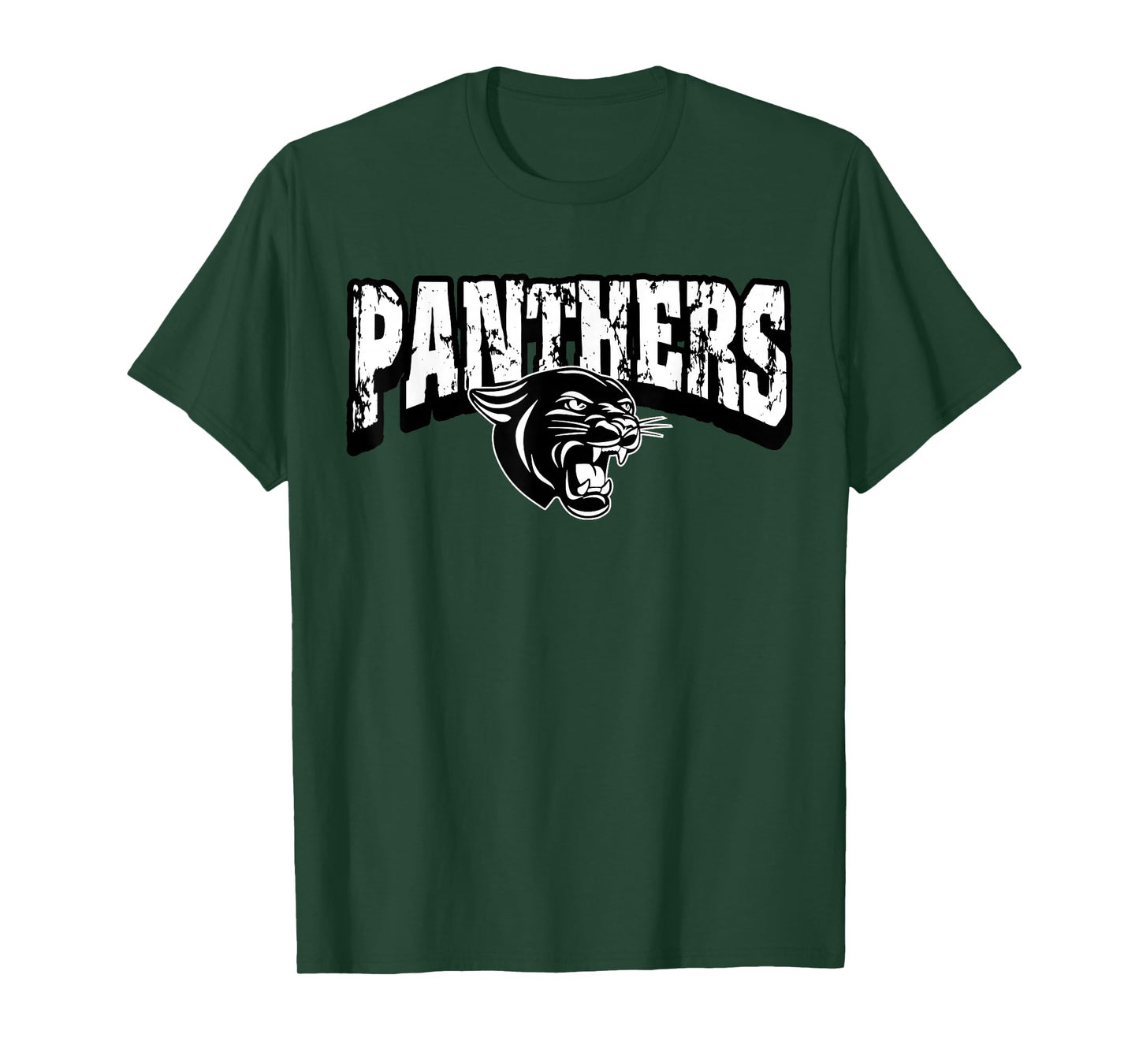 Panthers Back to School Spirit T-Shirt