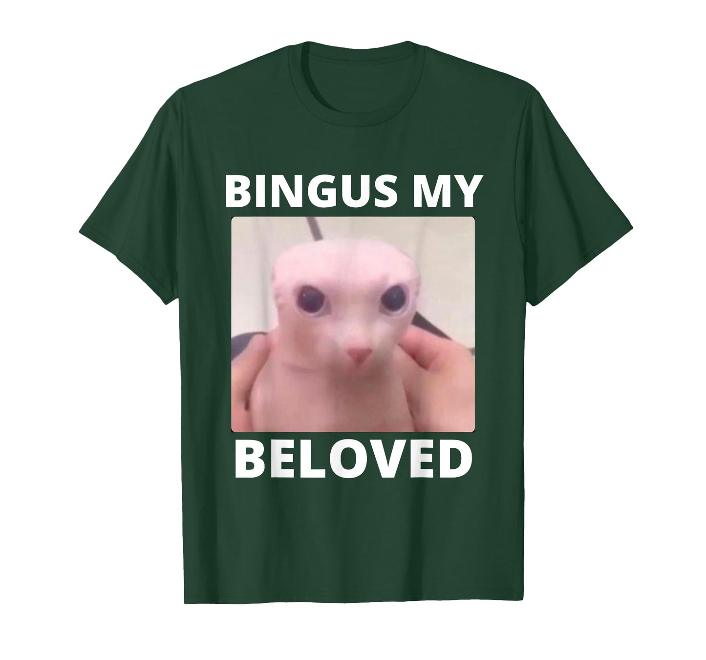 Bald Bingus My Beloved Hairless Sphinx Cat Bingus Cat Meme T-Shirt