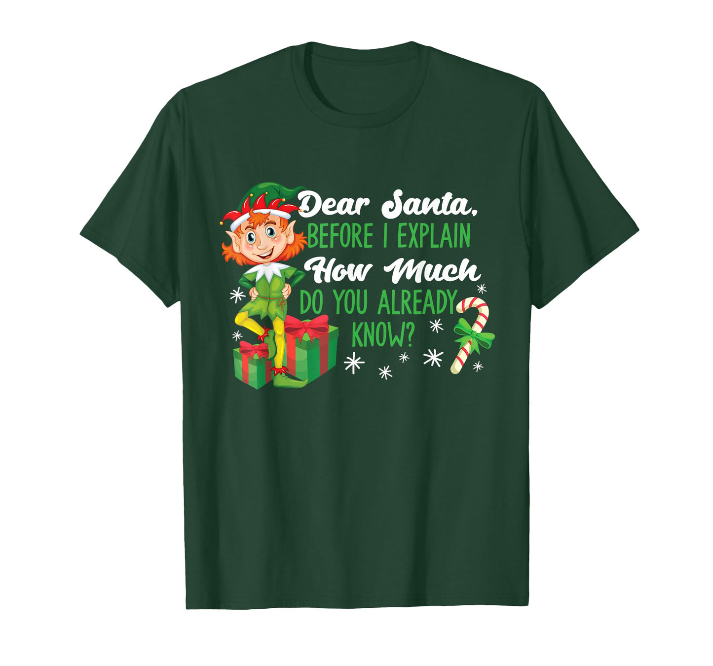 Funny Christmas Dear Santa How Much Do You Know T-Shirt
