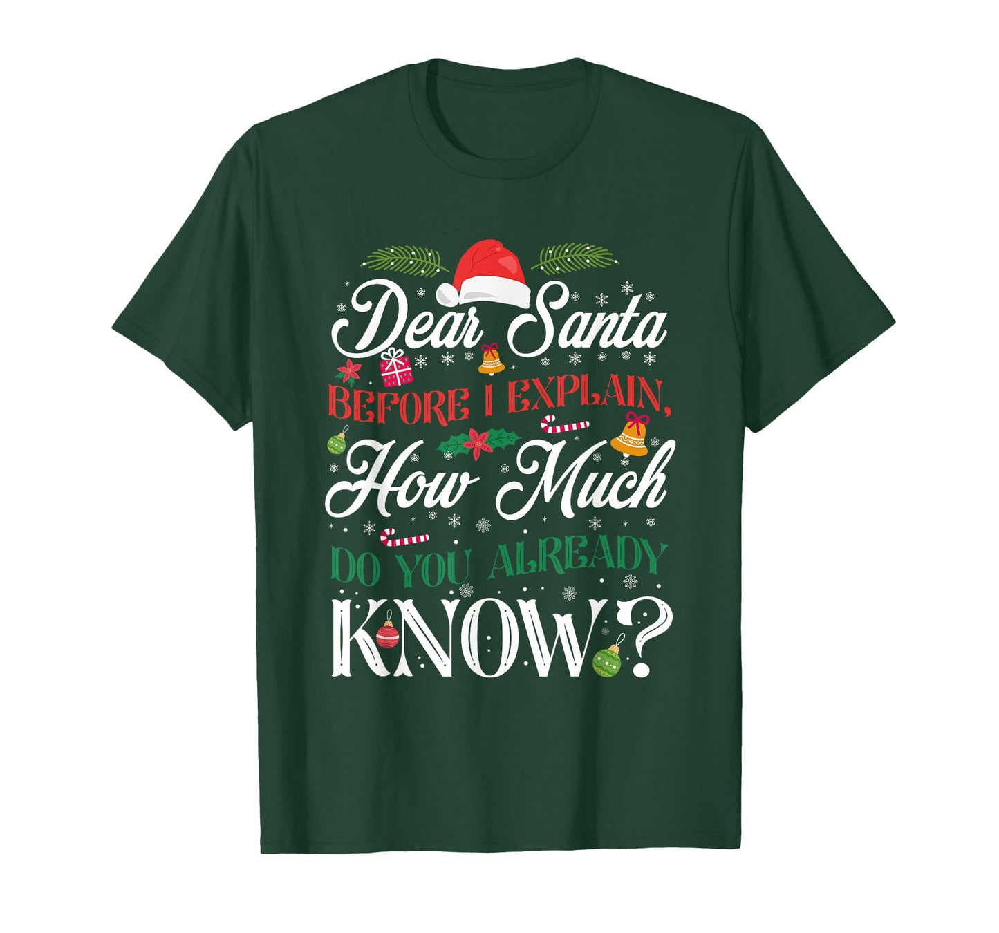 Funny Christmas Dear Santa How Much Do You Know T-Shirt